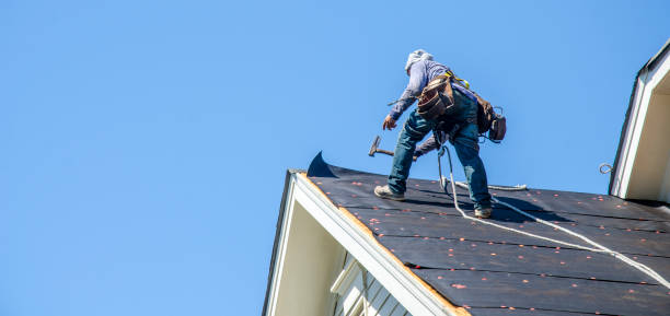 Roof Gutter Cleaning in San Dimas, CA